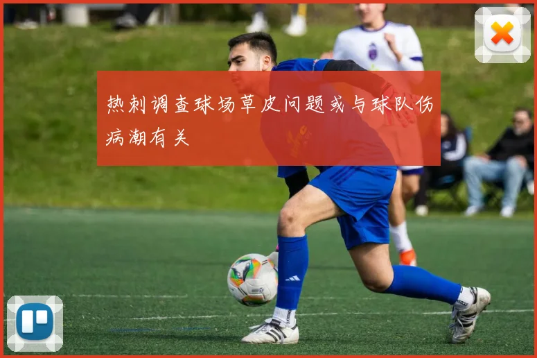 热刺调查球场草皮问题或与球队伤病潮有关