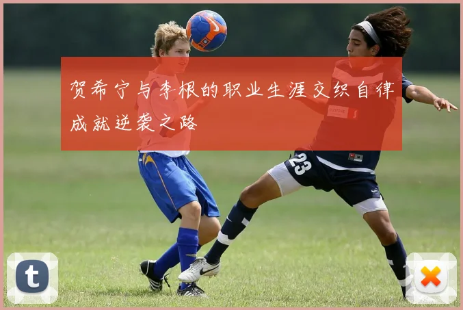 贺希宁与李根的职业生涯交织自律成就逆袭之路